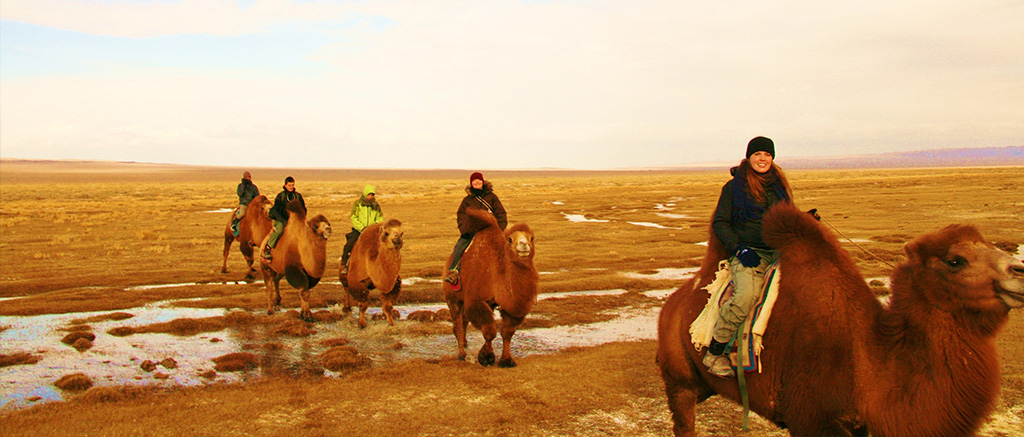 Gobi desert tour & Nomads